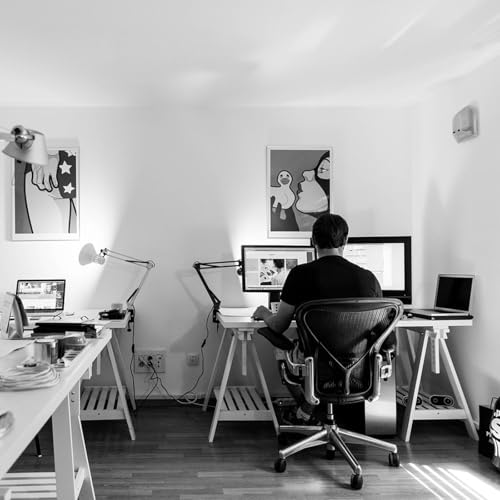 Couverture de Daily Habits to Stay Organized and Focused