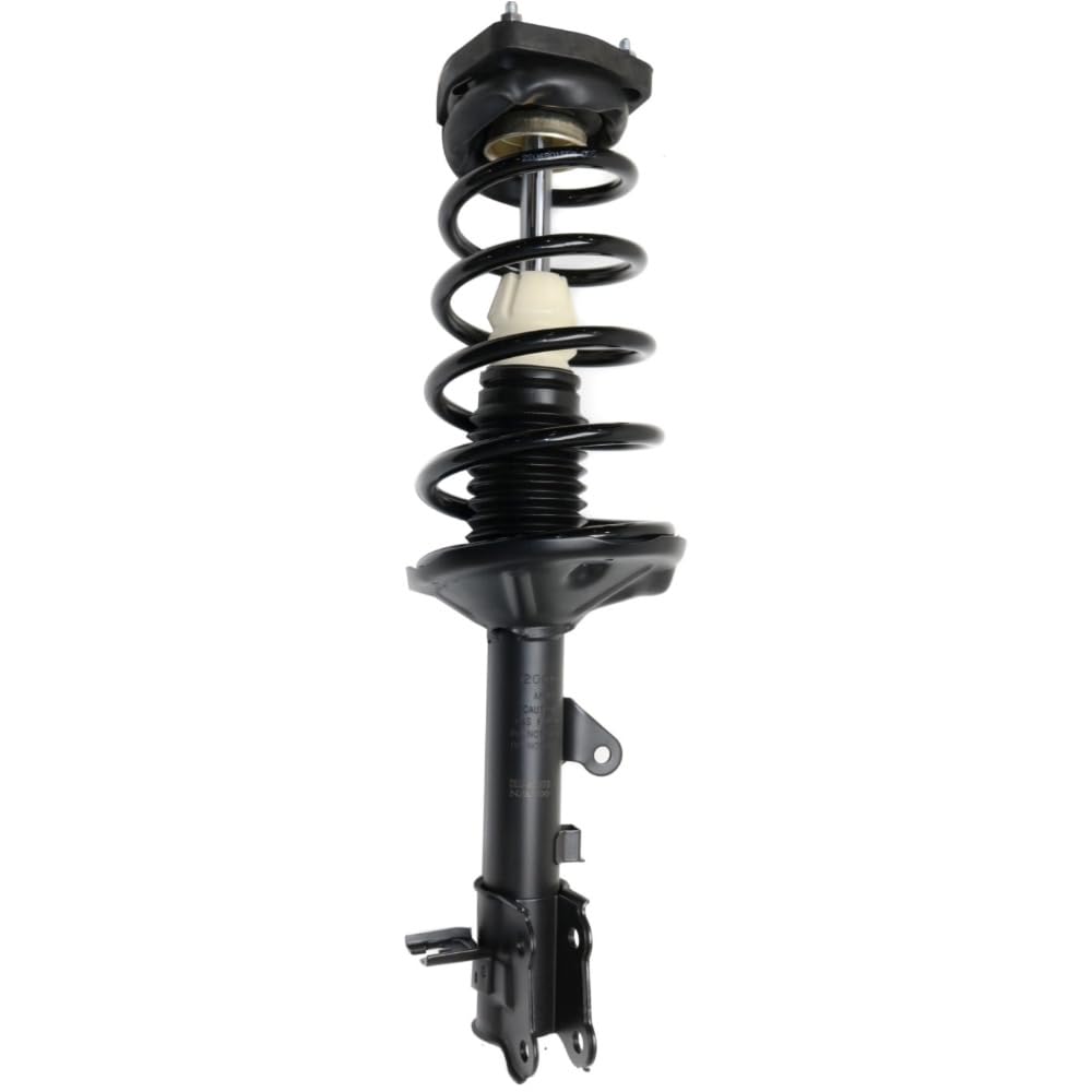 Amazon.com: LCXIAOLCAR 1 Pair Rear Left Right Side Shocks Black  