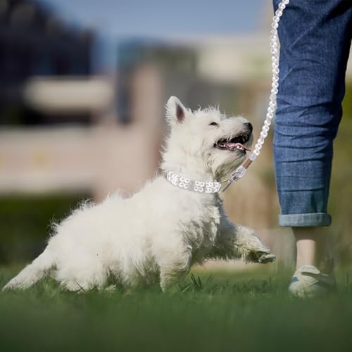 HACRAHO Pearl Hundeleine und Halsband, 2 Stück, für Hunde und Katzen, mit Perlen, verstellbar, mit Strasssteinen für Hunde, Katzen, Welpen