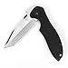 Kershaw KS6034T Cuchillo Tascabili,Unisex - Adulto, Negro, un tamaño