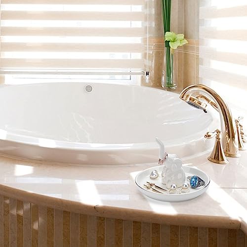 Consejos y comparativas para Comprar Pata de elefante planta para comprar hoy. 23 Imagen adicional