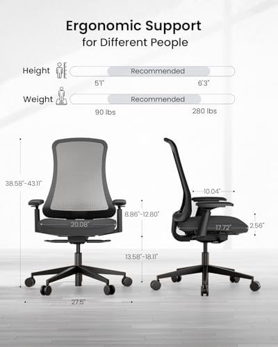 branch chair