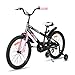 JOYSTAR New Berry 20 Inch Kids Bike for Boys and Girls Ages 7-13 Years Old, Kids 20 Inch Bicycles with Training Wheels & Basket, 20 in Kids' Bicycle in Pink