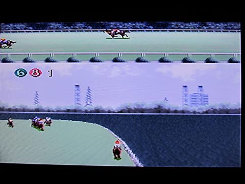 リーディングジョッキーの関連画像7