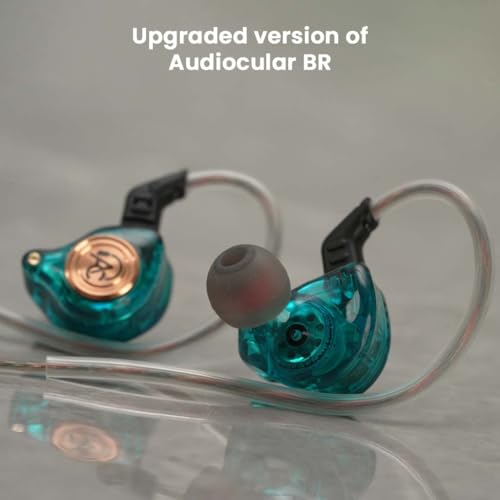Image of AUDIOCULAR BR Pro IEM Wired Earphones, in Ear Monitor with Type-C Plug, 10mm Titanium Driver, HD Mic, Oxygen-Free Copper Cable, Noise-Isolating Eartips - for Android, Laptops, Tablets