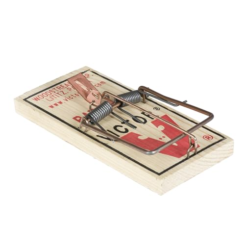 Protect Home Trampa para Ratas de Ajuste fácil Duradero, higiénico y eficaz.