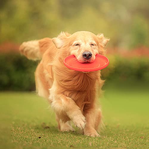 Pet Religion Dog Frisbee Soft Chew Red 9 Inch Diameter Flyer Aero Dynamic Light Weight Solid Water Resistant Safe On Teeth Soft Frisbee Dog Toys For Small Dogs #TOP1