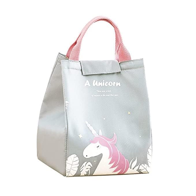 Cooler Lunch Bag for Women Girls for Picnic Work School, Lunch Box Waterproof Foldable Picnic Lunch Tote Bag Thermos Cooler Bag (Grey)