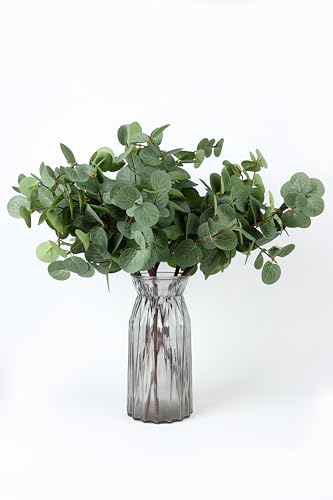 NeoL'artes Eukalyptusblätter, 66 cm, künstliche flexible Eukalyptusstiele, künstliche Blätter, Zweige aus Kunstseide, Eukalyptus für Frühling, Sommer, Festival, Heimdekoration, 6 Stück