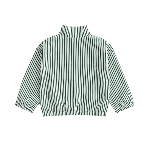 Toddler Boys Golf Embroidery Zipper Sweatshirt Long Sleeves Striped Pullover Tops High Neck Outwear Fall Tops2