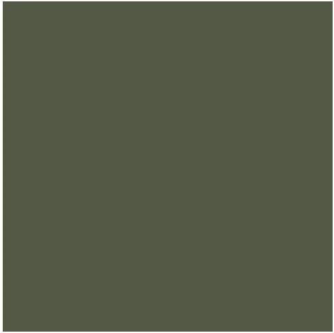 Fosco Paint Green NATO