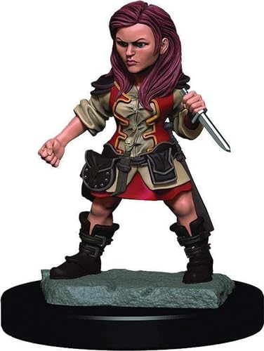 WizKids WZK93019 Accessories animez vos soirées jeux de société en famille