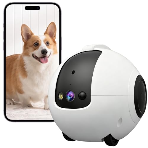 HUAJUN Robot de Caméra, 2.5K Caméra Robot pour Animaux avec Batterie 10000 mAh, Camera Anti Dumping 360°, Audio 2 Voies, Vision Nocturne Pleine Couleur,...