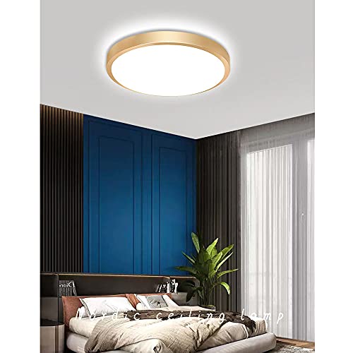 Lámpara de techo LED empuercada para techos bajos que elimina sombras en estancias 2