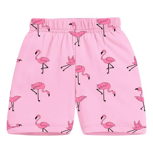 Image of Trampoline Girls Pack of 2 T-Shirt and Shorts Set | Flamingo & Heart Print