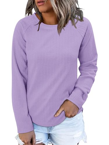 ONLYSHE Womens Shirts Long Sleeve Crewneck Tunic Tops Casual Lightweight Knit Solid Color Sweatshirts Trendy Blouse Basic Tee