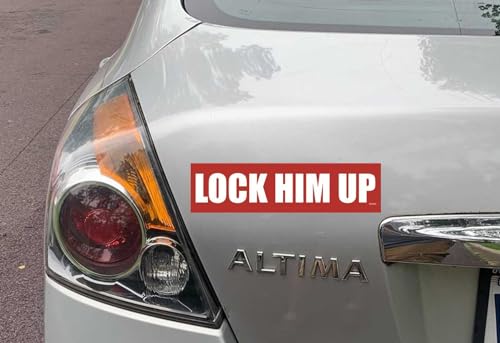 Imán anti Trump para coche y pegatina demócrata de parachoques de vinilo político 3