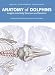 Anatomy of Dolphins: Insights into Body Structure and Function