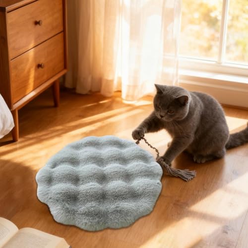 Djowyh Haustierkissen | Maschinenwaschbare Hundebetten - Welpen Kätzchen Transportbox Kissen Wärmematte - Für Reisen Unterstand Camping Garten Balkon Hundezwinger Sofa Boden