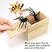 Xmoyaas Wooden Spider Prank Box, Rubber Spider Hidden in a Box Fun Prank Handicraft, Original Trick Boxes, Christmas, April Fool or Birthday Surprise Toy Practical Gift Joke Toys for Kids Adults