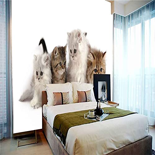 Papier peint chaton 3D auto-adhésif pour rénover sans colle - 5