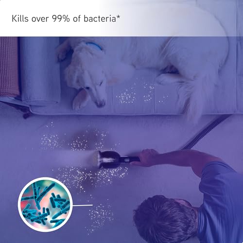 Vax SpotWash Home and Pet Spot Cleaner, Upholstery, Sofa, Stairs, Home, Car, Rug, Stain Cleaning Small Handheld Shampooer Machine, Additional Solution, SpinScrub and Tools, 4.5kg, Grey/Cyan, CDSW-MPDP