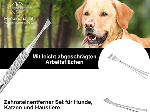 Mini Hunde Zahnsteinkratzer Einseitig Zahnpflege Zahnreiniger für Haustiere Tiere Zahnbürsten-Alternative aus Edelstahl Auch für Katzen oder Nager Zahnreinigung Zahnsteinentferner