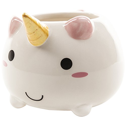 Smoko Elodie Succulent Pot | Cute Kawaii Ceramic Planter | Pencil Cup | Accessory Container | Toothbrush Jar