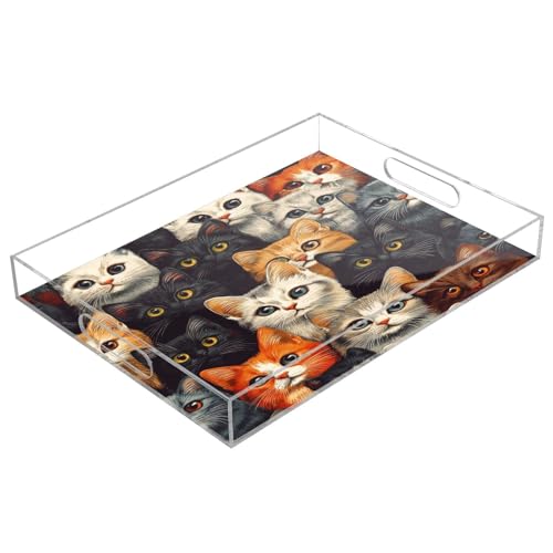 WELLDAY Lovely Cats Serving Tray, Clear Acrylic Decorative Tray - Sturdy Huge Capacity Serving Platters/Kitchen Countertop Tray/Vanity Table Tray 12