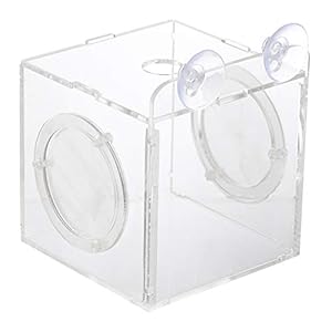 Balacoo Tankkweekbox vis kweekbox acryl vis isolatie box aquarium broerei incubator broerij incubator kweekbox voor…