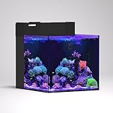 LANDEN EzCube 45K Rimless AIO Marine Aquarium Tank Kit with Rear Filter and Protein Skimmer, 14.5 Gal Saltwater Cube Fish Tank for Reef...
