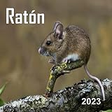  Ratón calendario 2023: regalo divertido de la broma de la mordaza del amante de los animales para los amantes del ratón, mujeres, hombres, hombres, ... amantes, cumpleaños, White Elephant Party,