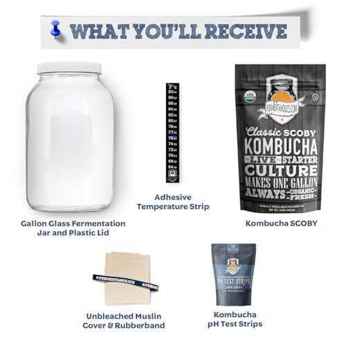Kombucha Essentials Kit - Includes USDA Organic Kombucha SCOBY + 1-Gallon Glass Fermenting Jar with Breathable Cover + pH Strips + Rubber Band + Adhesive Thermometer - Brew kombucha at Home