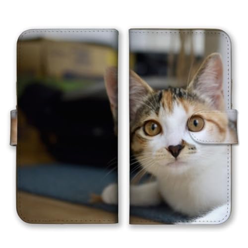 Redmi Note 13 Pro �p �P�[�X �蒠�^ ���b�h�~�[�m�[�g13�v�� �X�}�z�P�[�X �L �l�R �˂� �O�єL �݂��˂� �n�`���� �g���l�R �ʐ^ ���� �J���[02