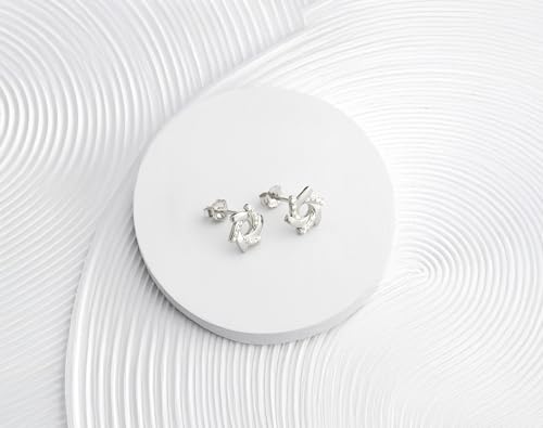 Boucles d'oreilles argent 925 SOFIA MILANI, le cadeau idéal avec pierre de zircon