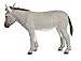 Safari Ltd. Donkey Figurine - Lifelike 4