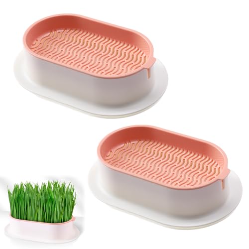 Kit de Culture pour Herbe à Chat - Plateau de Jardinière Hydroponique en Plastique avec Bac pour Jardin, Maison, Bureau, 2 Pièces