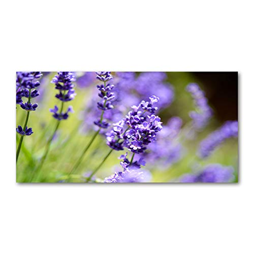 Dosseret en verre de sécurité trempé haut de gamme motif fleurs
