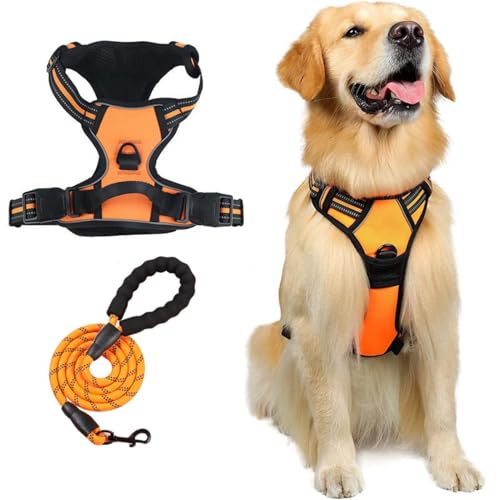  n[lX p ߉\ Ԕ ^/^/^ ʋC bV s⏕ U p y S  h~ hbO (IW,S)