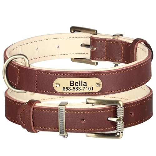 ID̃pbhvԂǂ̓dbԍ^Op[\iCYꂽ^̎ւ̂߂̑傫Ȍ̎փsbgut`uhbOOCnEh,F,l