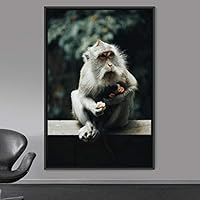 Framed Canvas Wall Art Monkey Animals Expressive Farmhouse/Country Living Room Monkey Multicolor Photography - 16x24 inches