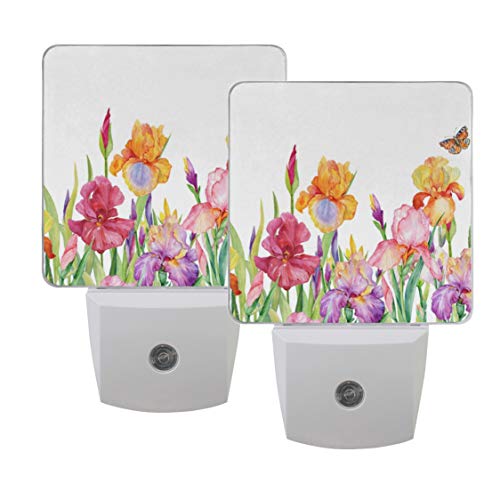 Naanle Set of 2 Field of Iris Flowers with Butterfly Beautiful Watercolor Colorful Floral Background Spring Design Auto Sensor LED Dusk to Dawn Night Light Plug in Indoor for Adults