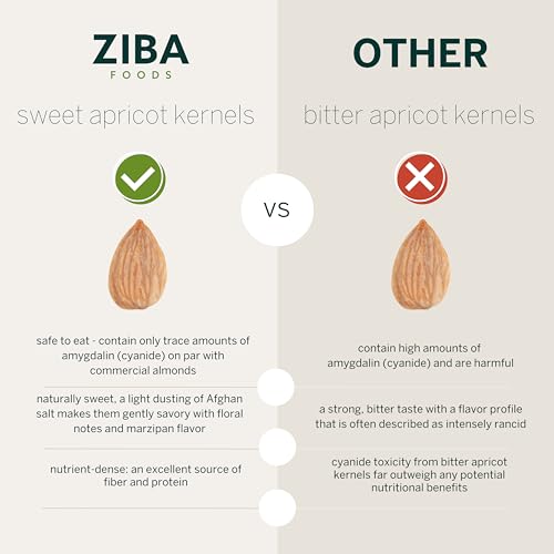 Ziba Foods Sweet Apricot Kernels | 150 grams | Non-GMO & Vegan Dried Apricot Seeds Whole 30 Friendly & Keto, Paleo, Dry Roasted Superseed | Wild Grown