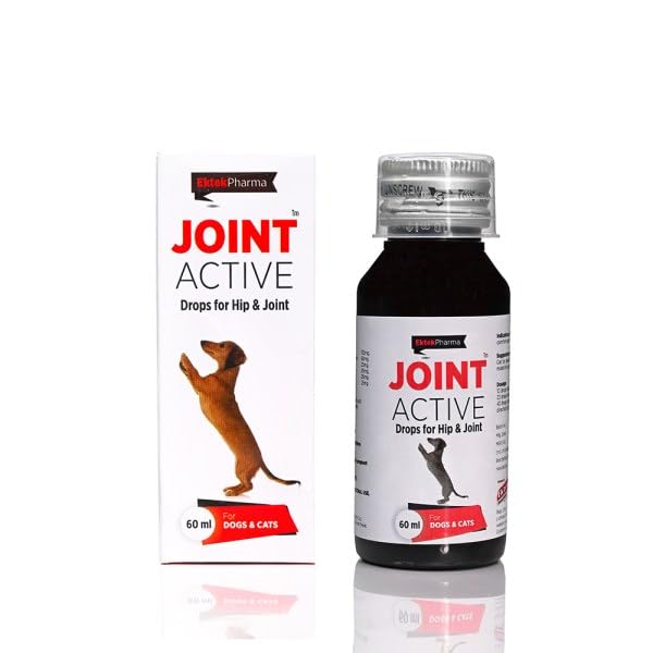 ALL4PETS Joint Supplement For Dogs And Cats, 60Ml Bottle, Hip And Joint Support (B0CYT5X7B2) Amazon Price History, Amazon Price Tracker