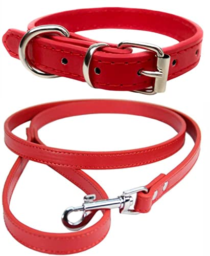 Vibrant Leather Dog Collar & Lead Combo Set for Puppy Dogs Small, Medium & Large (Large (36cm - 46cm Neck), Red) - Image 2