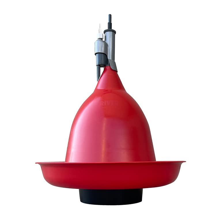 Abbeveratoio automatico automatico a campana con canaletta grande e secchiello porta zavorra per oche e tacchini - River Systems