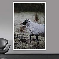 Framed Canvas Wall Art Sheep Animals Expressive Farmhouse/Country Goat Living Room Multicolor Photography - 16x24 inches