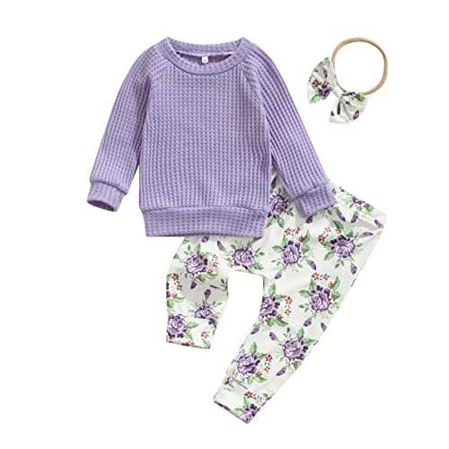 0-3T Fall Baby Girl Clothes Set Avocado Pullover Sweatshirts Tops Floral Pants Outfits Cute Toddler Clothes (Purple D, 12-18 Months)
