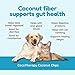 CocoTherapy Coconut Chips - 6 oz Each (3 Pack)