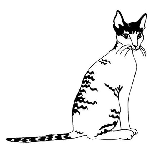 YINGJUN 11.9x11.4CM Cornish Rex katt Vinyl dekal bilfönster dekorativa klistermärken Classic djur tecknad biltillbehör C6-0461 Tillbehör (Color : Black)